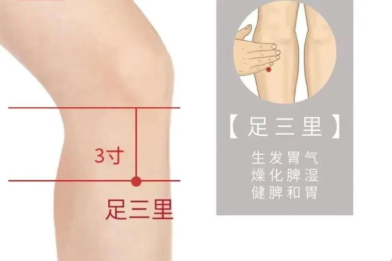 微信圖片_20250328163314.jpg